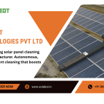 Solar Panel Cleaning